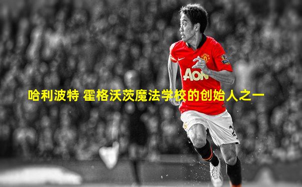 哈利波特 霍格沃茨魔法学校的创始人之一